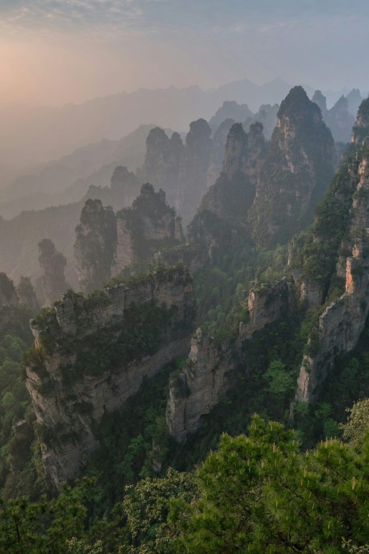 joshua-sortino-gii7lF4y0WY-unsplash