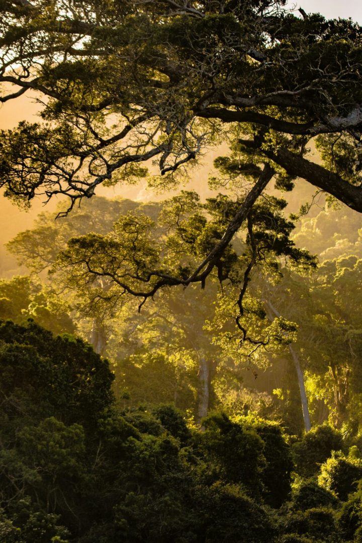 redcharlie-k2zWqv_yfNM-unsplash